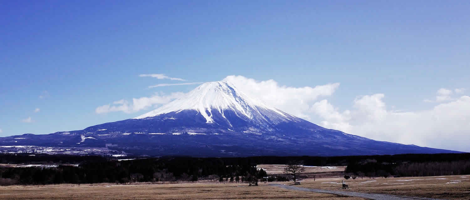 鶏っこ　富士山